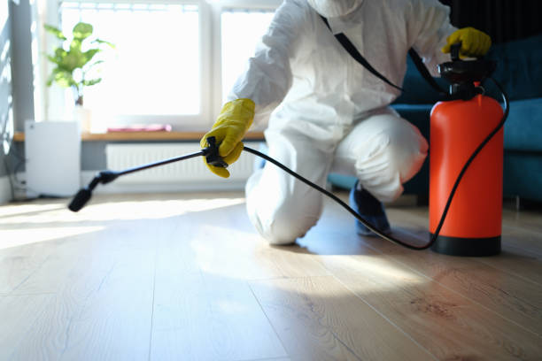 Reliable Sewage Cleanup contractor in Mantua, VA by Dulley Family Biohazard Services